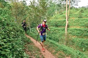 BIB: 
                            <button type="button" onclick="openModal(24878392)" class="btn btn-primary btn-sm float-right btn-popup" data-toggle="modal" data-target=".modal-high-quality">
                        <i class="fas fa-shopping-cart"></i> Add to Cart
                    </button>
                                            <button type="button" onclick="isThisMe(24878392, true)" class="btn btn-success btn-sm float-right btn-popup btn-isme hidden" data-toggle="tooltip" data-placement="bottom" title="นี่คือรูปของคุณใช่ไหม คลิกที่นี่เพื่อเอาเข้าอัลบั้ม">
                        <i class="fas fa-plus"></i> Add to album
                    </button>
                    <button type="button" onclick="isThisMe(24878392, false)" class="btn btn-warning btn-sm float-right btn-popup btn-isnotme hidden">
                        <i class="fas fa-ban"></i> Remove from album
                    </button>